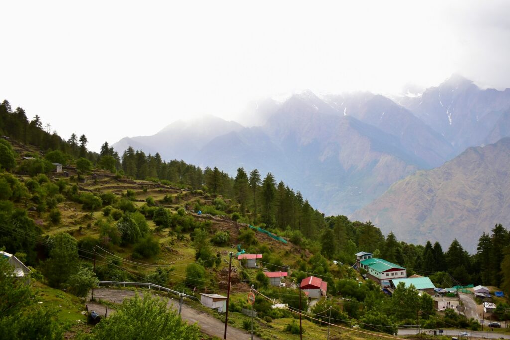 Amamzing view of Auli hill station in Uttarakhand - Infotainment Shop