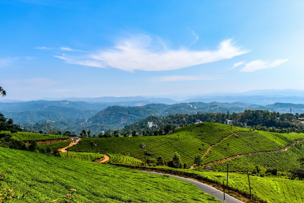 Munnar India travel destination with international vibe - Infotainment Shop